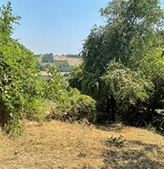 Foto annuncio 19
