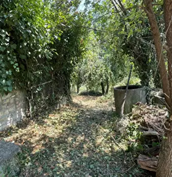 Foto annuncio 22