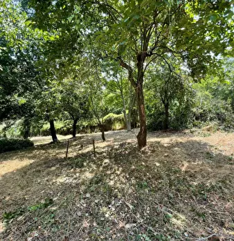 Foto annuncio 23