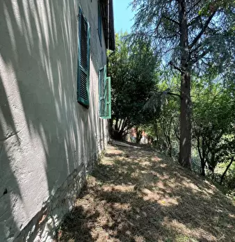 Foto annuncio 28