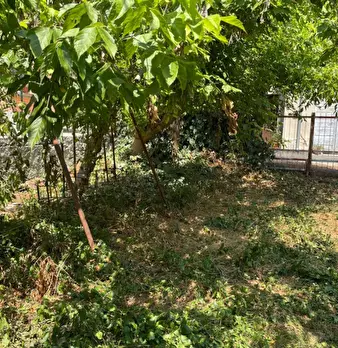Foto annuncio 29