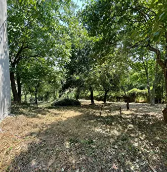Foto annuncio 30