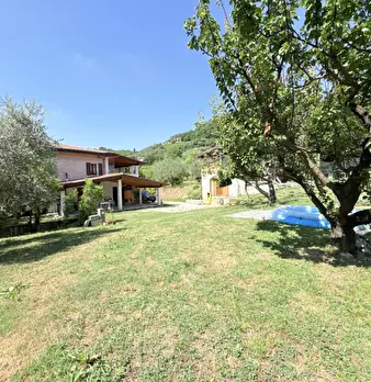 Foto annuncio 6