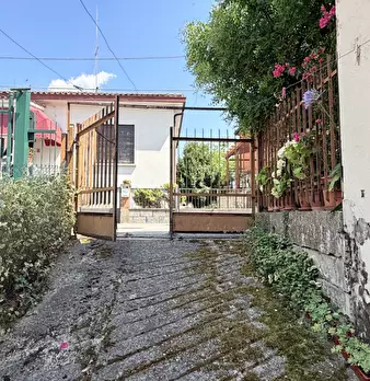 Foto annuncio 7