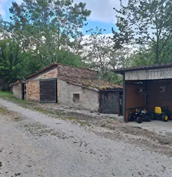 Foto annuncio 6