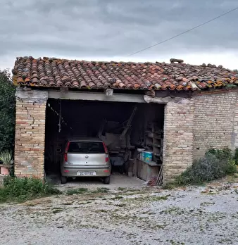 Foto annuncio 7