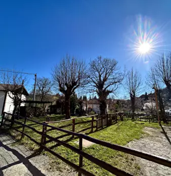 Foto annuncio 11