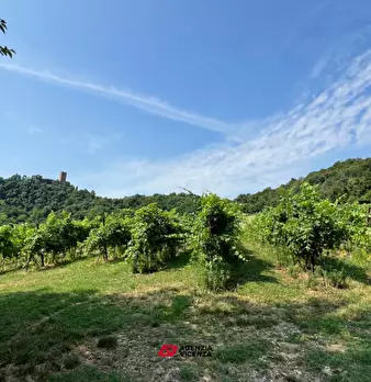Foto annuncio 9