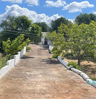 Foto annuncio 2