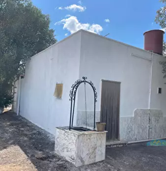 Foto annuncio 12