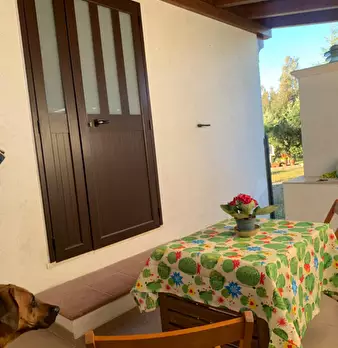Foto annuncio 28