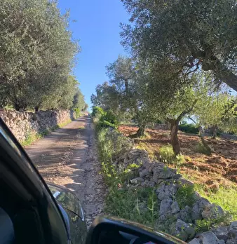 Foto annuncio 34