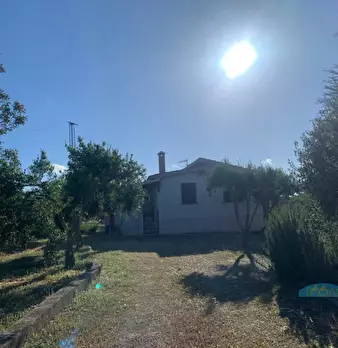 Foto annuncio 35