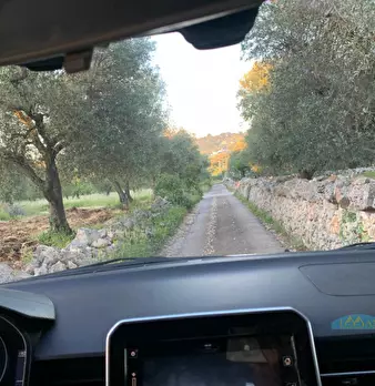 Foto annuncio 36