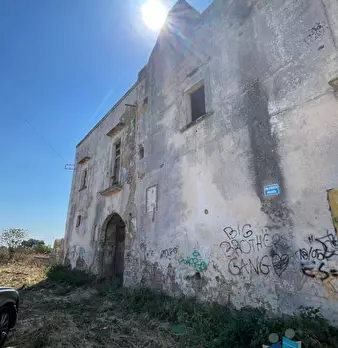 Foto annuncio 12