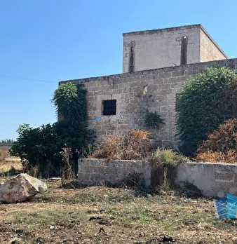 Foto annuncio 17