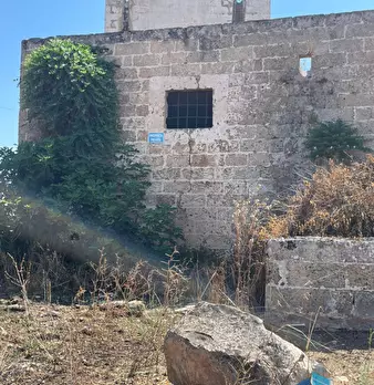 Foto annuncio 18