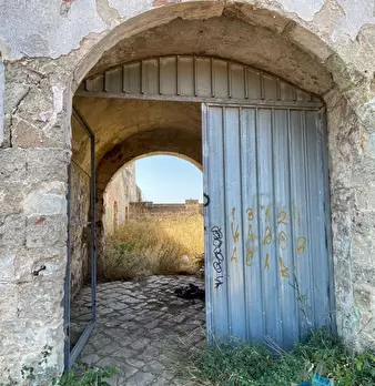 Foto annuncio 19