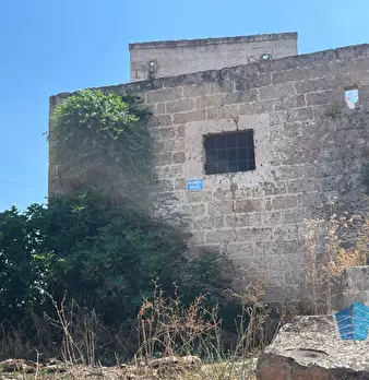 Foto annuncio 23