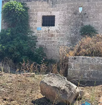 Foto annuncio 25