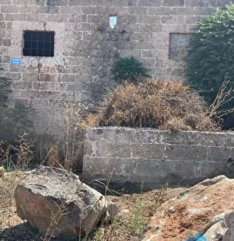 Foto annuncio 28