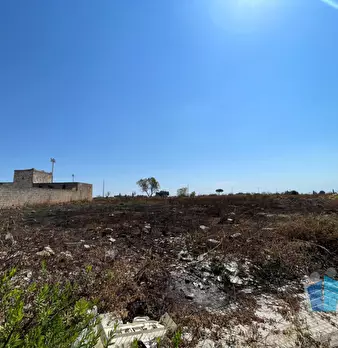 Foto annuncio 32