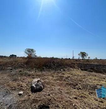 Foto annuncio 33