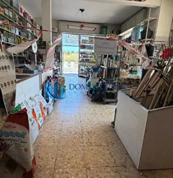 Foto annuncio 2