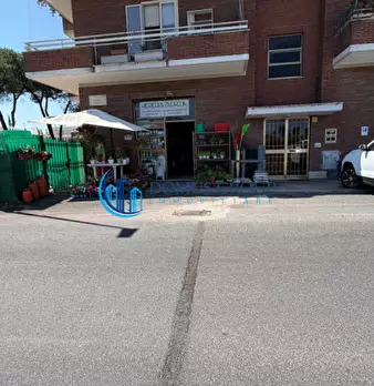 Foto annuncio 20