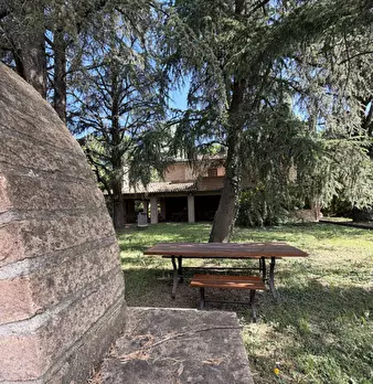 Foto annuncio 42