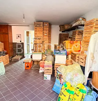 Foto annuncio 24