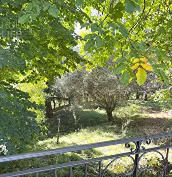 Foto annuncio 13