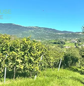 Foto annuncio 16