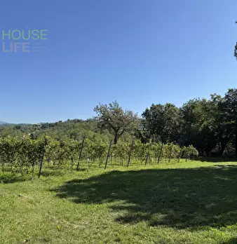 Foto annuncio 18