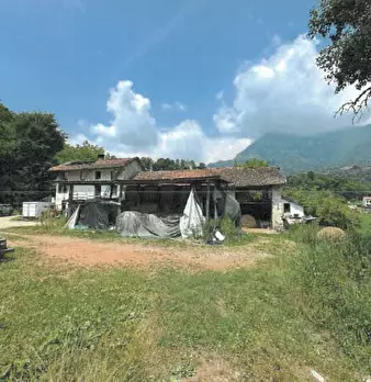 Foto annuncio 5