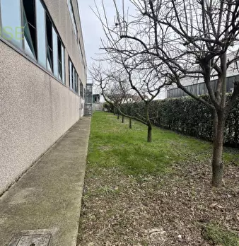 Foto annuncio 5