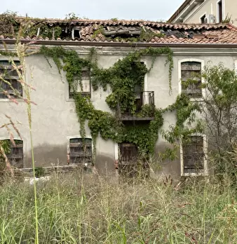 Foto annuncio 5