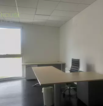 Foto annuncio 5