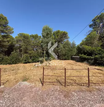 Foto annuncio 29