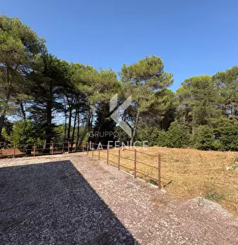 Foto annuncio 30