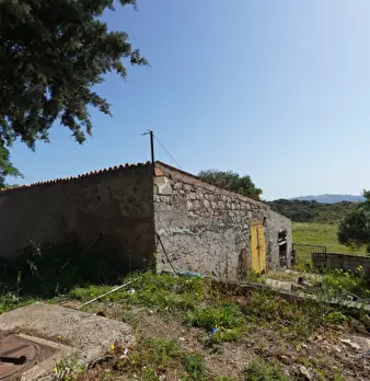 Foto annuncio 28