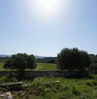 Foto annuncio 29
