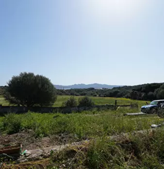 Foto annuncio 30