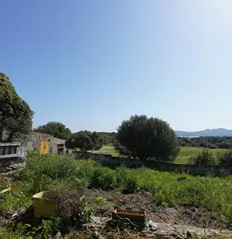 Foto annuncio 31