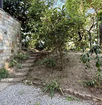 Foto annuncio 19