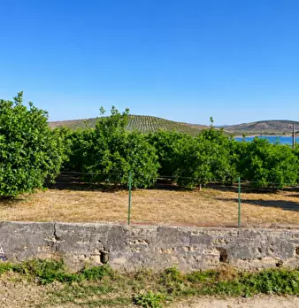 Foto annuncio 14