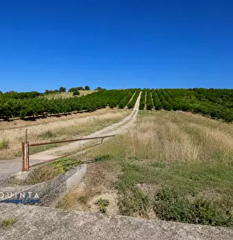 Foto annuncio 15