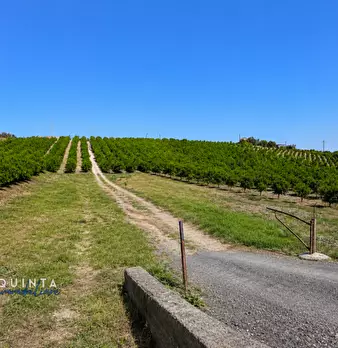 Foto annuncio 17