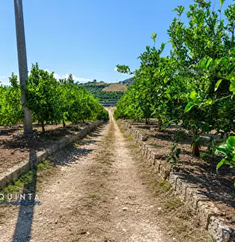 Foto annuncio 19