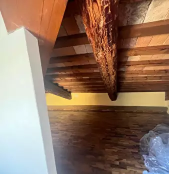 Foto annuncio 14